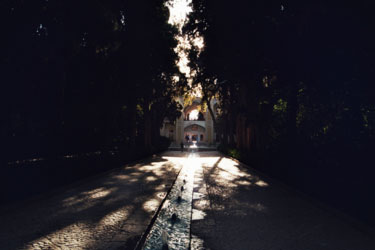 Bagh-e Fin
