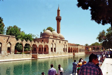Karpfenteich in Urfa