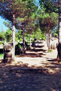 Löwenorthostat